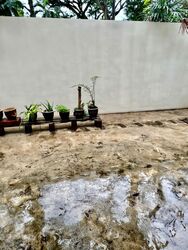 Jalan Sempadan (D15), Terrace #560315291